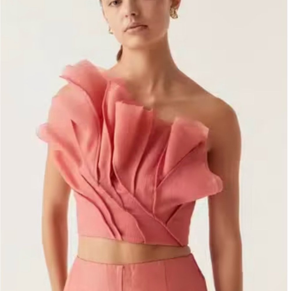 Aje Blush Pink Ruffled Dress - Picture 2 of 6